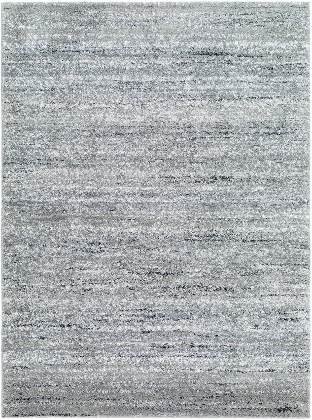 Rayla Modern Light Silver Area Rug