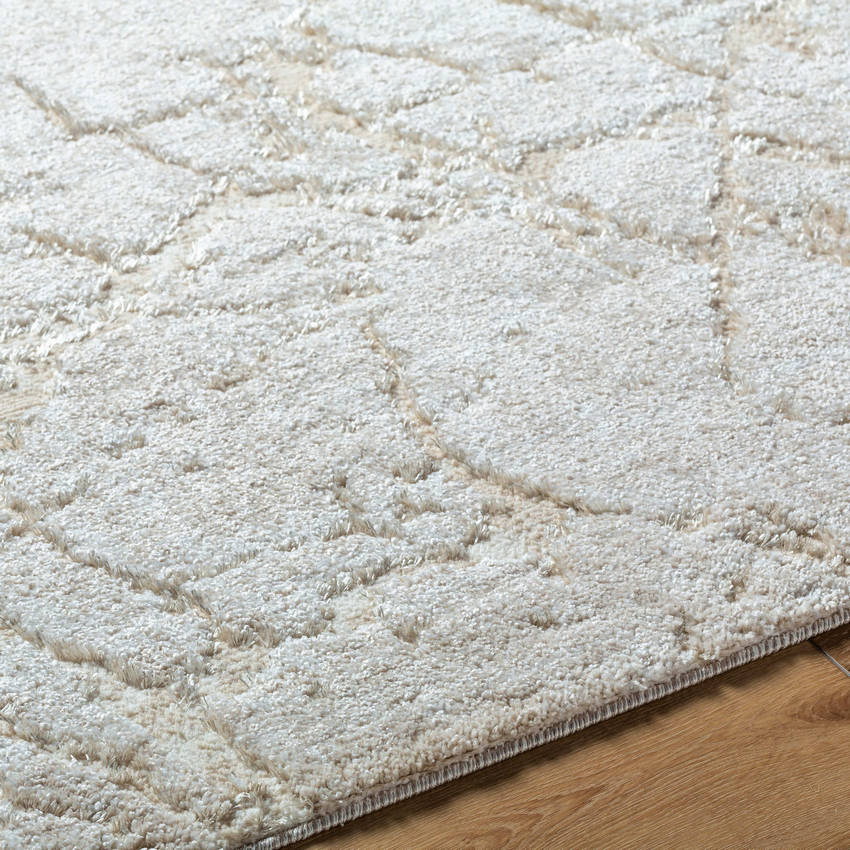 Dustee Cottage Light Silver Area Rug