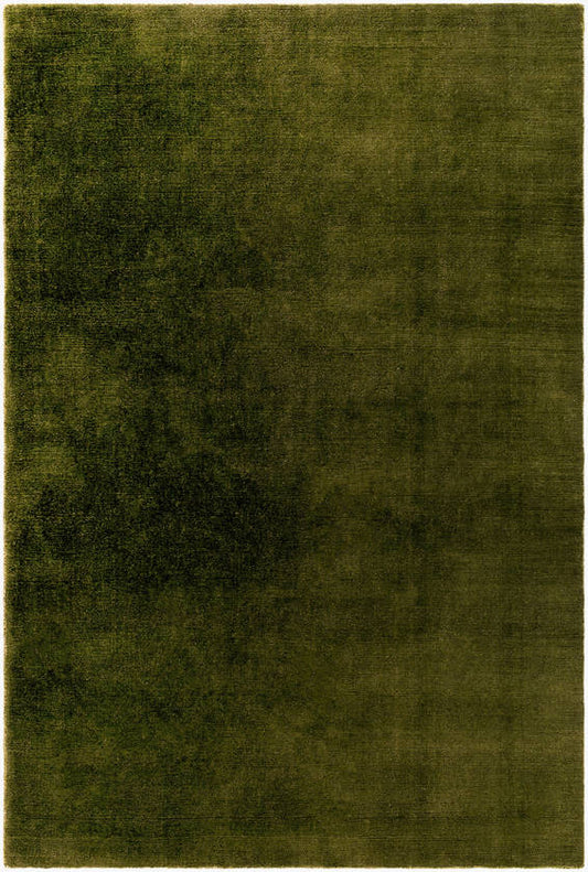 Sofie Modern Green Area Rug