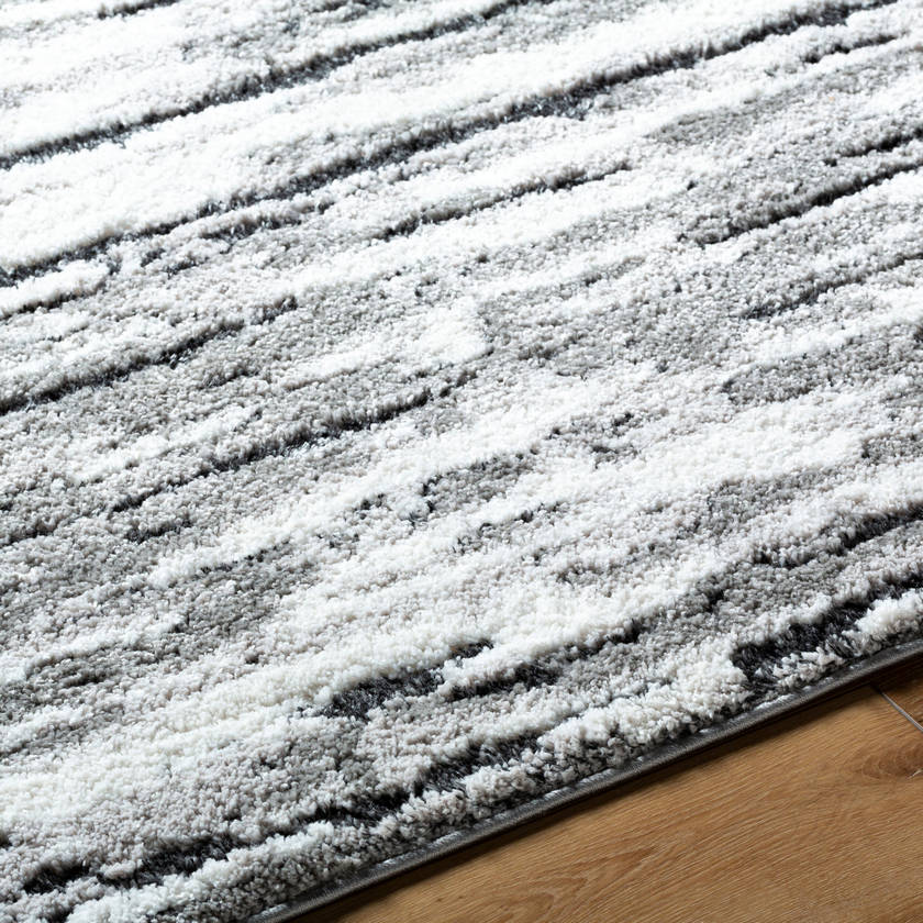 Arionne Modern Light Silver Area Rug
