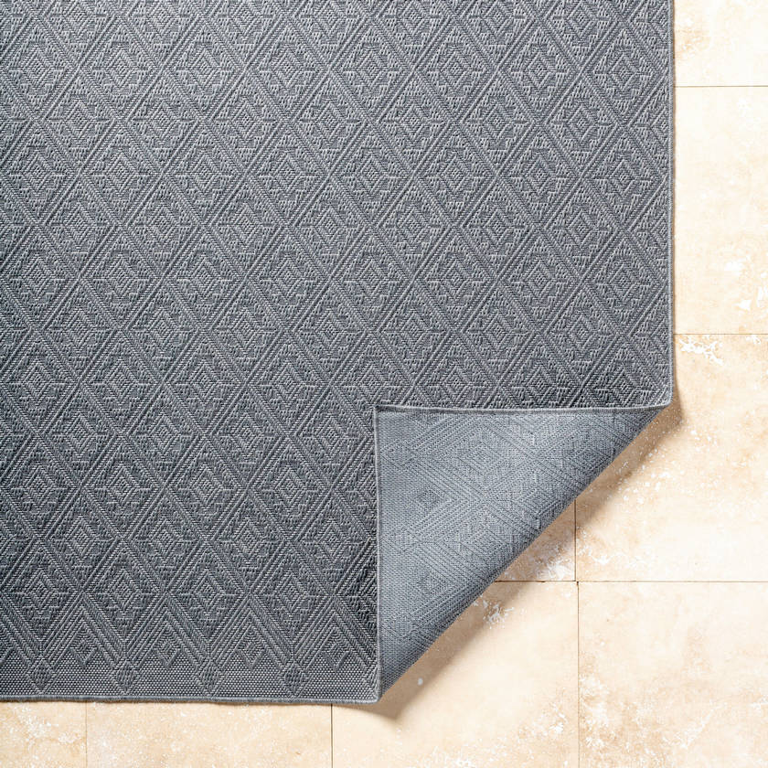 Selenia Cottage Charcoal Area Rug