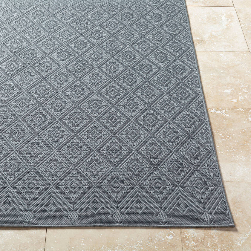 Selenia Cottage Charcoal Area Rug