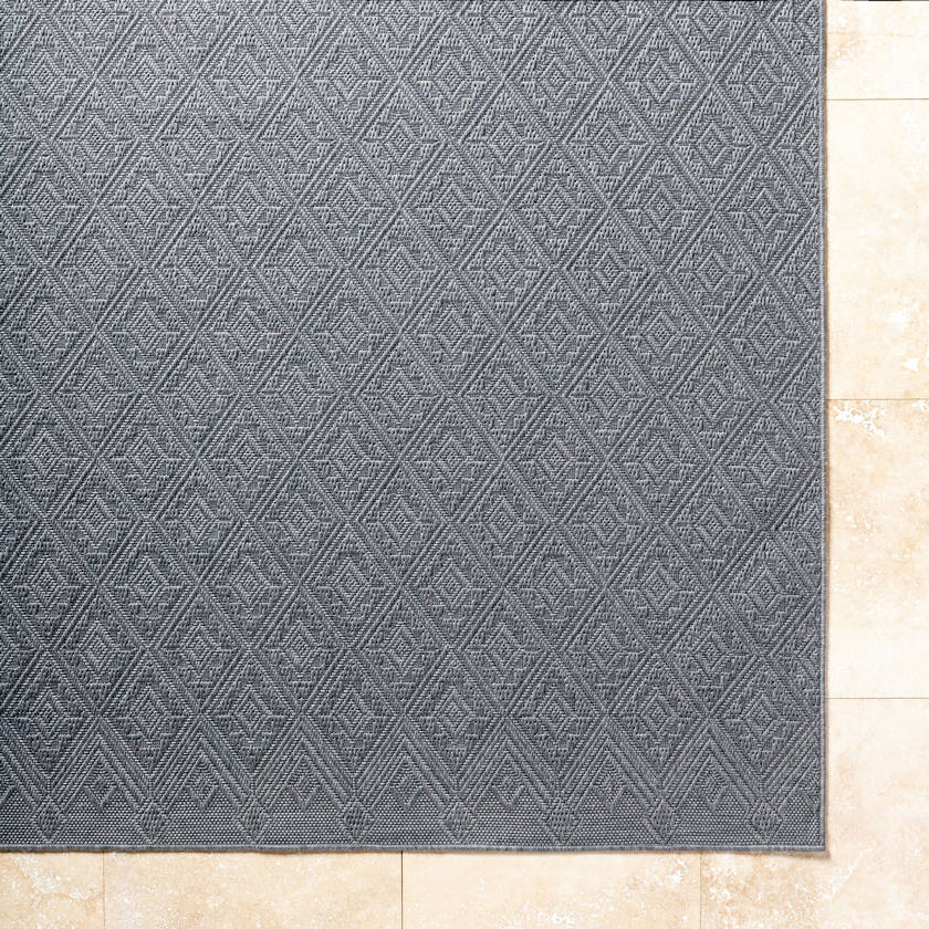 Selenia Cottage Charcoal Area Rug