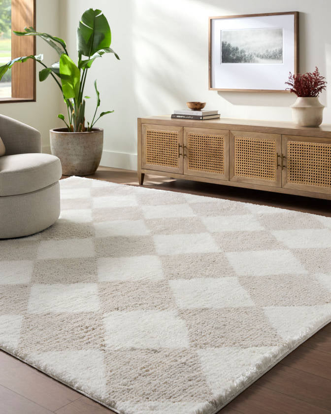 Adonica Modern Light Brown Area Rug