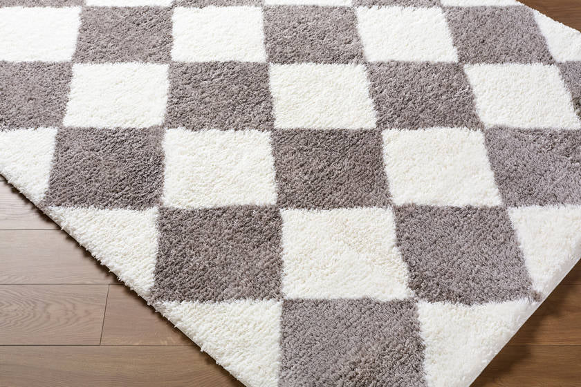 Adonica Modern Dark Brown Area Rug