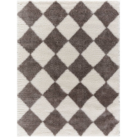 Adonica Modern Dark Brown Area Rug