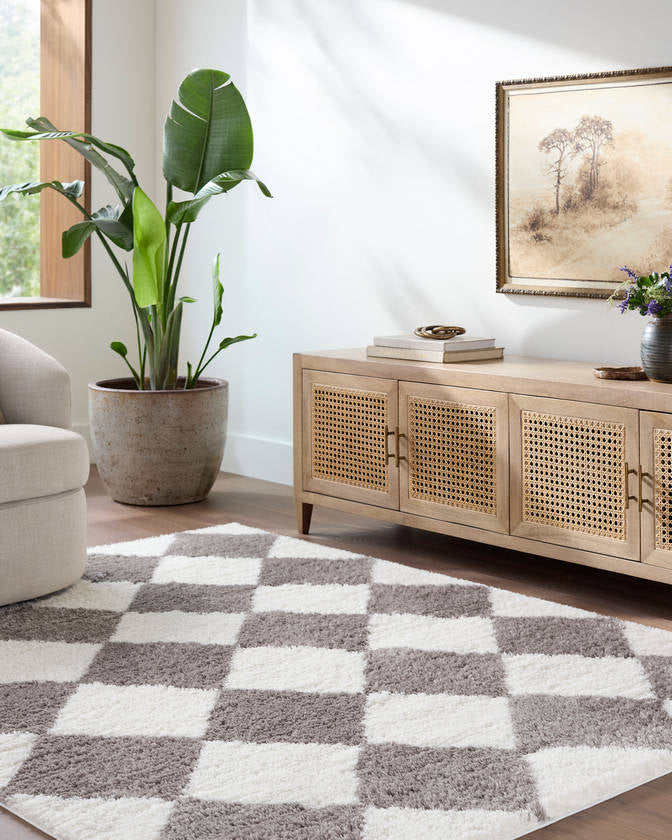 Adonica Modern Dark Brown Area Rug