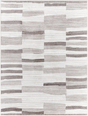 Tyrone Modern Medium Gray Area Rug
