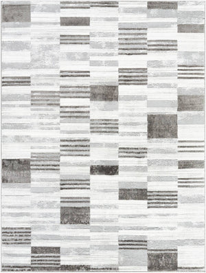 Rison Modern Medium Gray Area Rug
