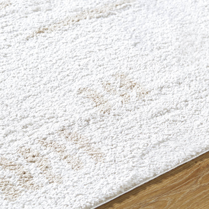 Shareef Modern Beige Washable Area Rug