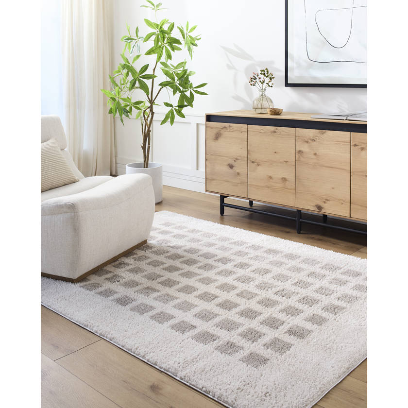 Noam Modern Medium Gray Washable Area Rug