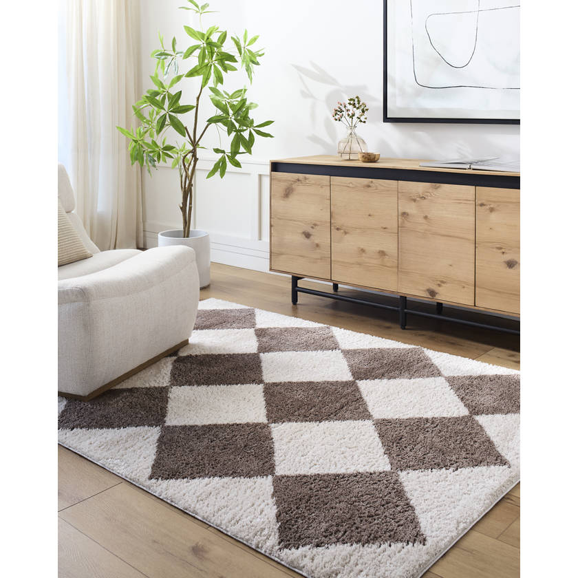 Jason Modern Dark Brown Washable Area Rug