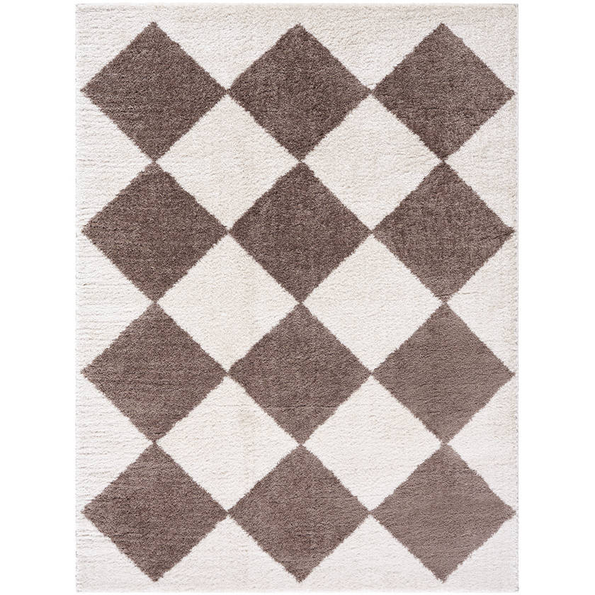 Jason Modern Dark Brown Washable Area Rug