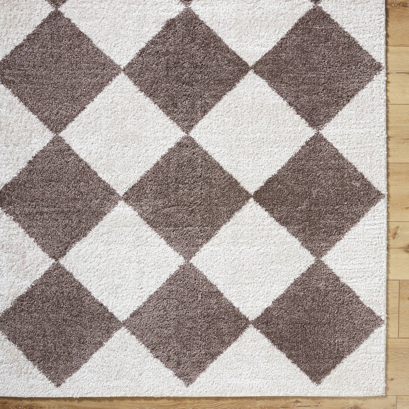 Jason Modern Dark Brown Washable Area Rug