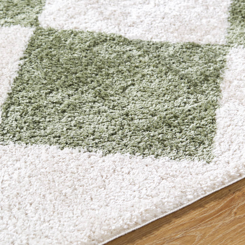 Jason Modern Grass Green Washable Area Rug