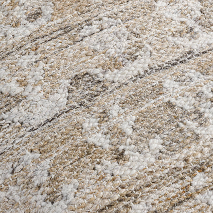 Phyllis Tan Pillow Cover