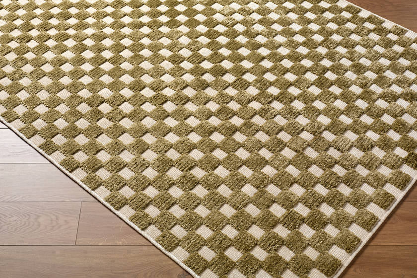 Jozette Modern Brown Washable Area Rug
