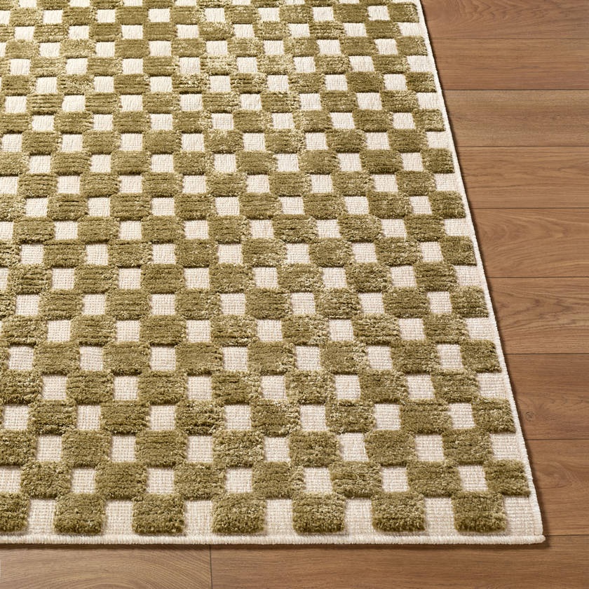 Jozette Modern Brown Washable Area Rug