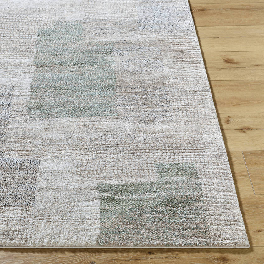 Tyshawn Modern Dusty Sage Area Rug