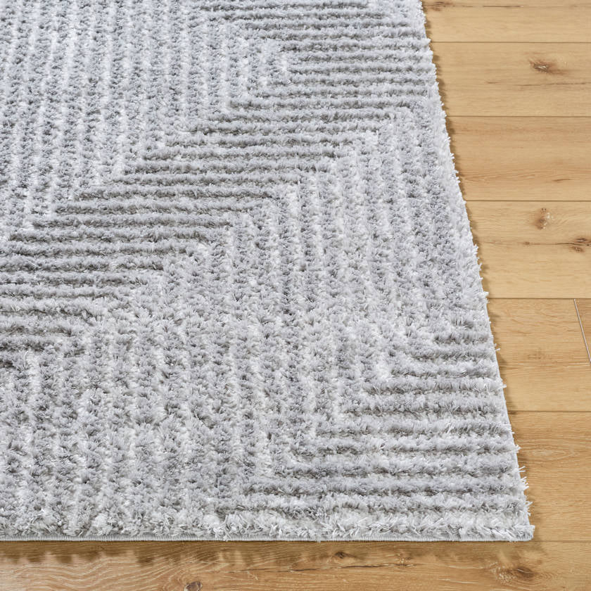 Krystyl Modern Light Slate Area Rug
