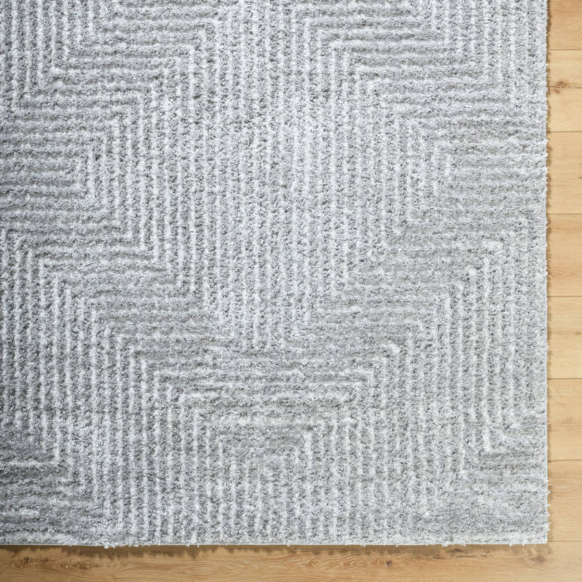 Krystyl Modern Light Slate Area Rug