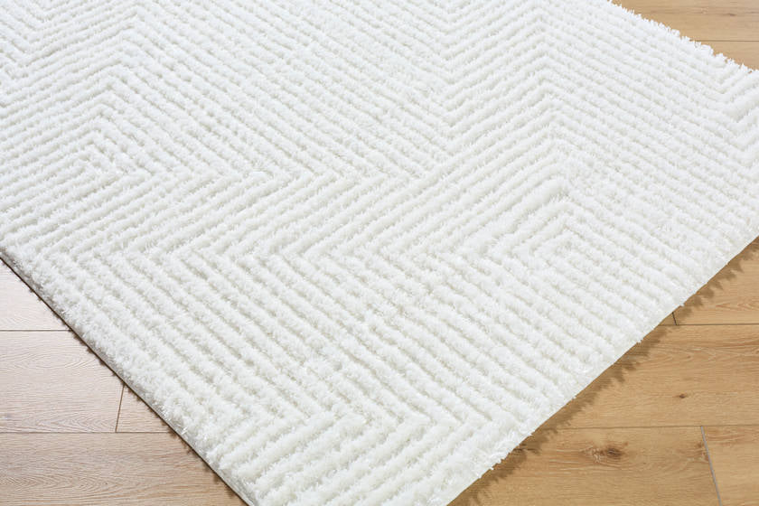 Krystyl Modern White Area Rug