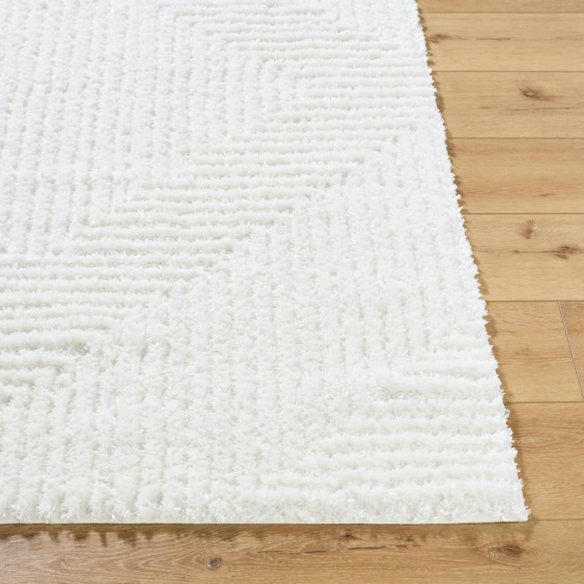 Krystyl Modern White Area Rug