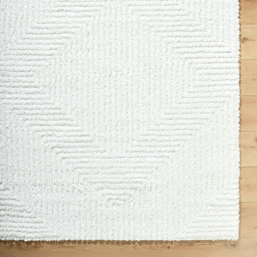 Krystyl Modern White Area Rug