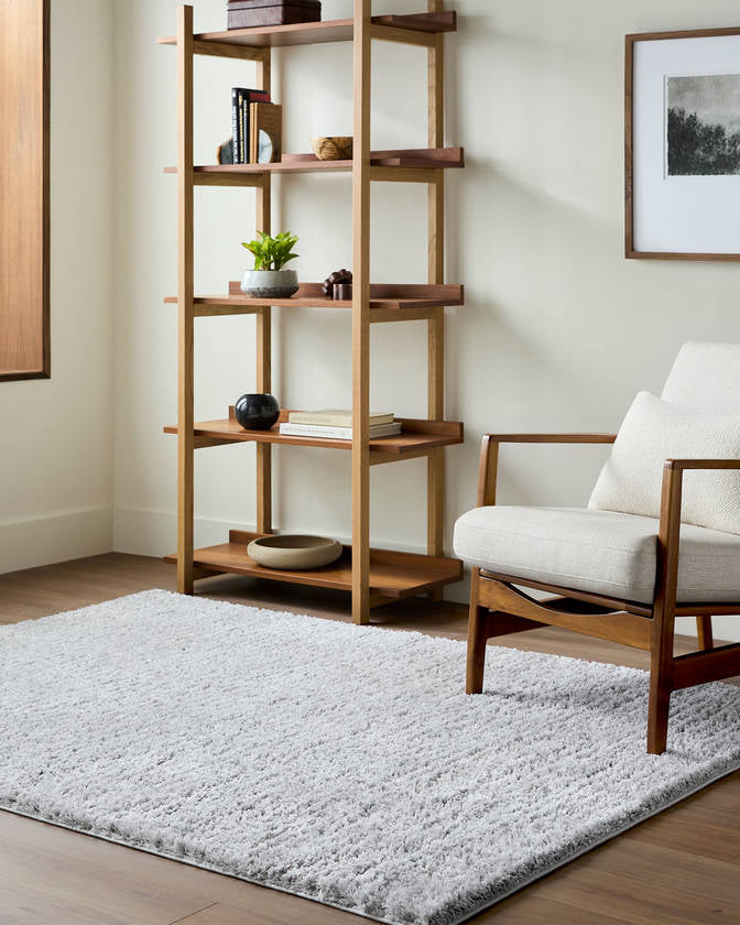 Letrice Modern Gray Area Rug