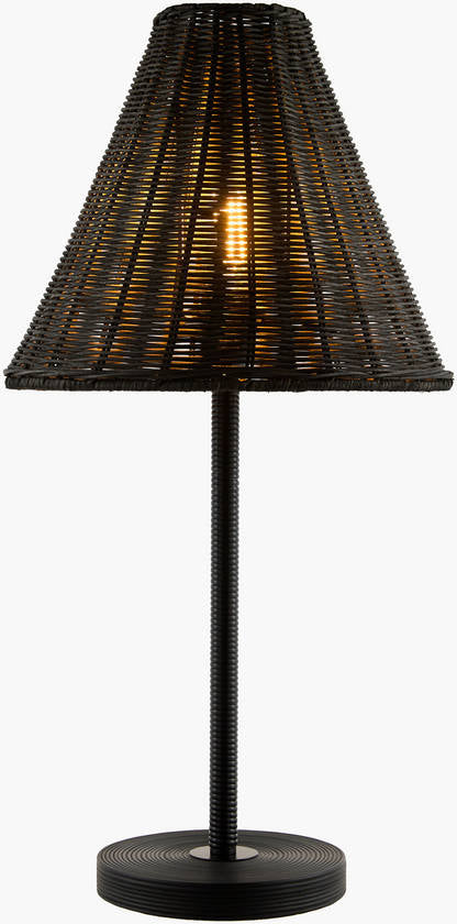 Dammon Modern Black Table Lamp