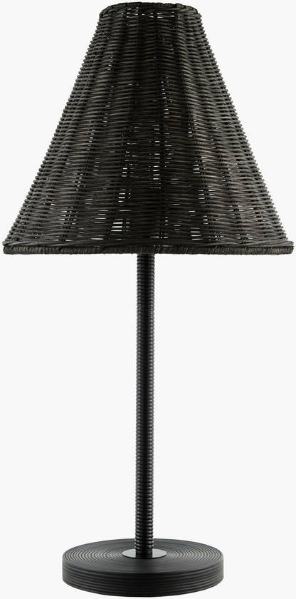 Dammon Modern Black Table Lamp