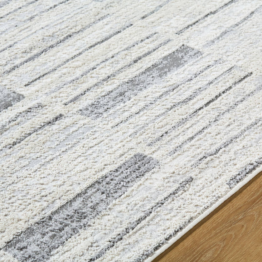 Aldwin Modern Light Gray Area Rug