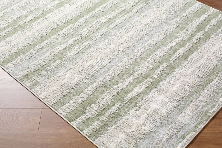 Kessa Modern Sage Area Rug