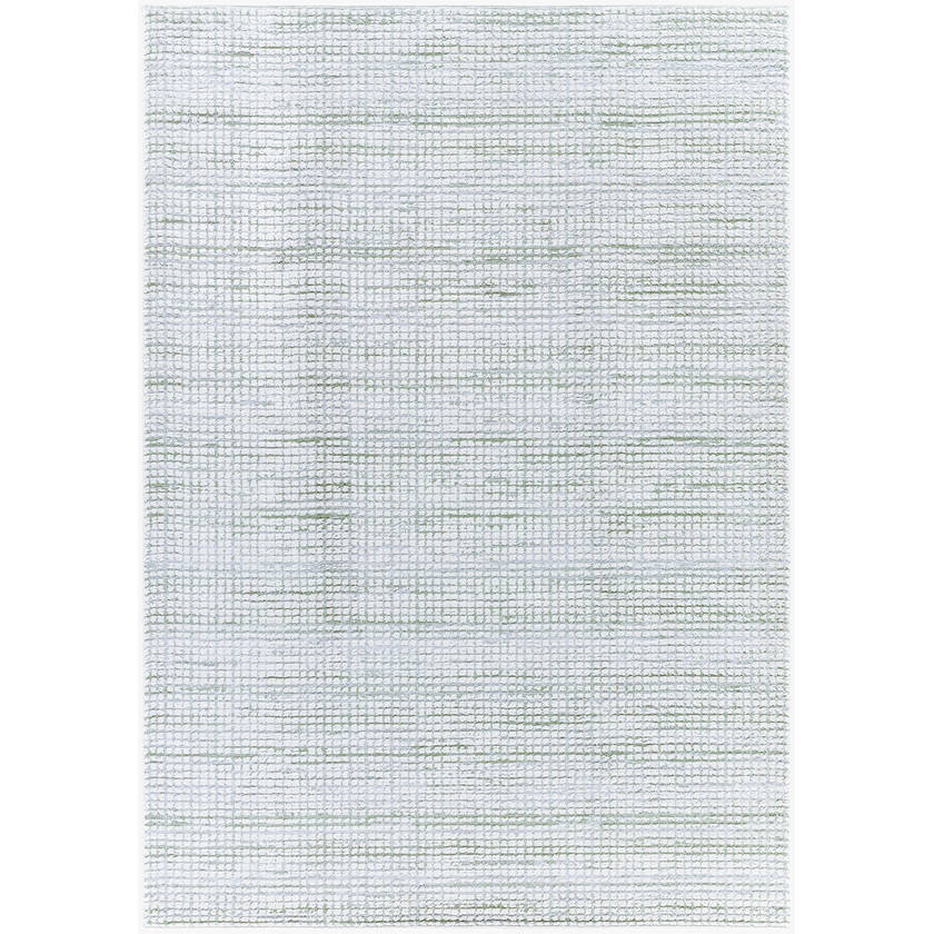 Hasson Modern Sage/Light Beige Area Rug