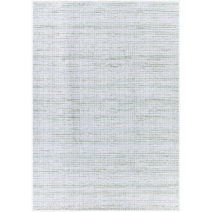Hasson Modern Sage/Light Beige Area Rug