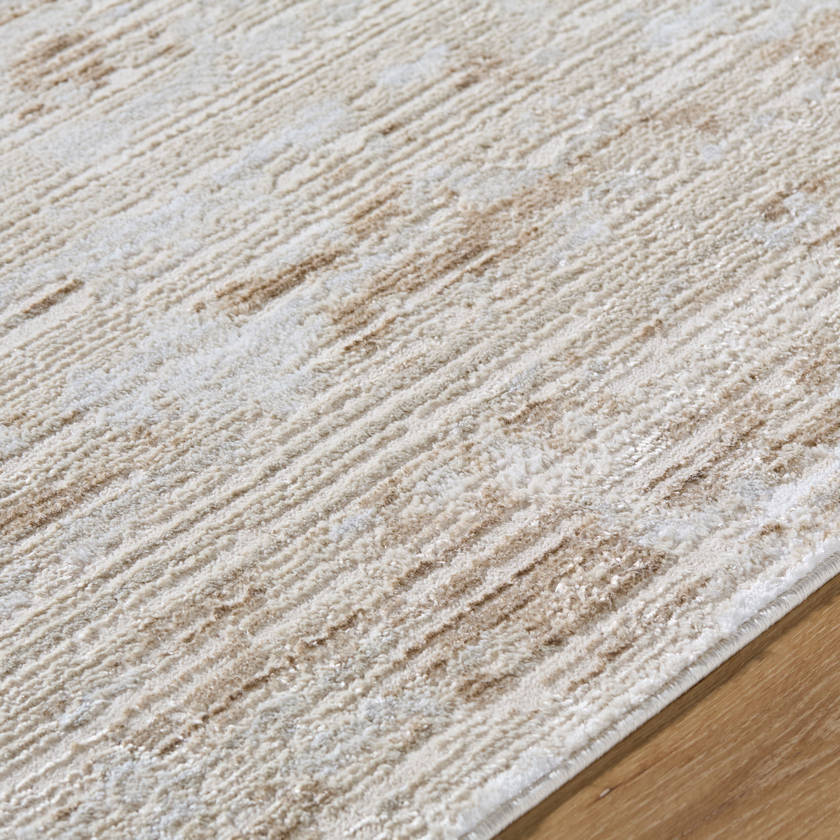 Barri Modern Beige/Tan Area Rug