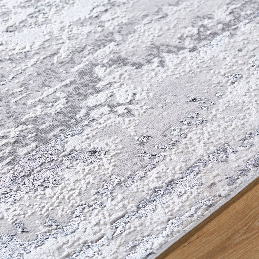 Devyn Modern Light Gray Area Rug