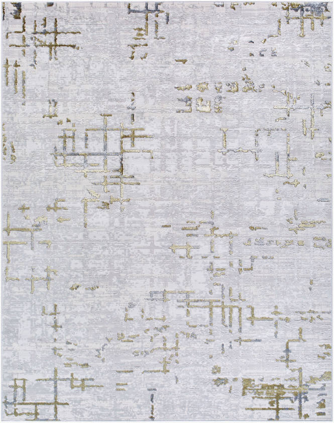 Naji Modern Gray Area Rug