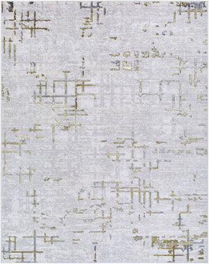 Naji Modern Gray Area Rug