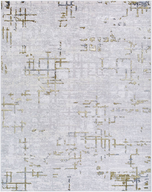 Naji Modern Gray Area Rug