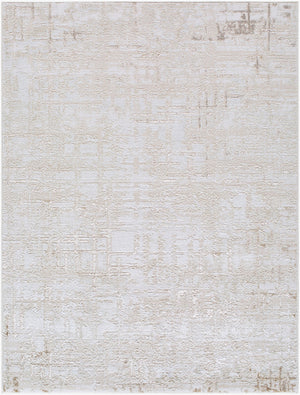Naji Modern Beige Area Rug