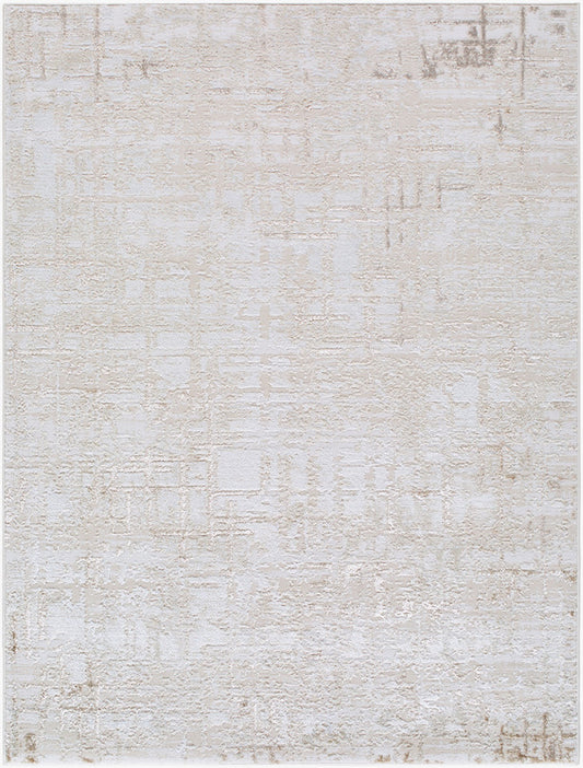Naji Modern Beige Area Rug