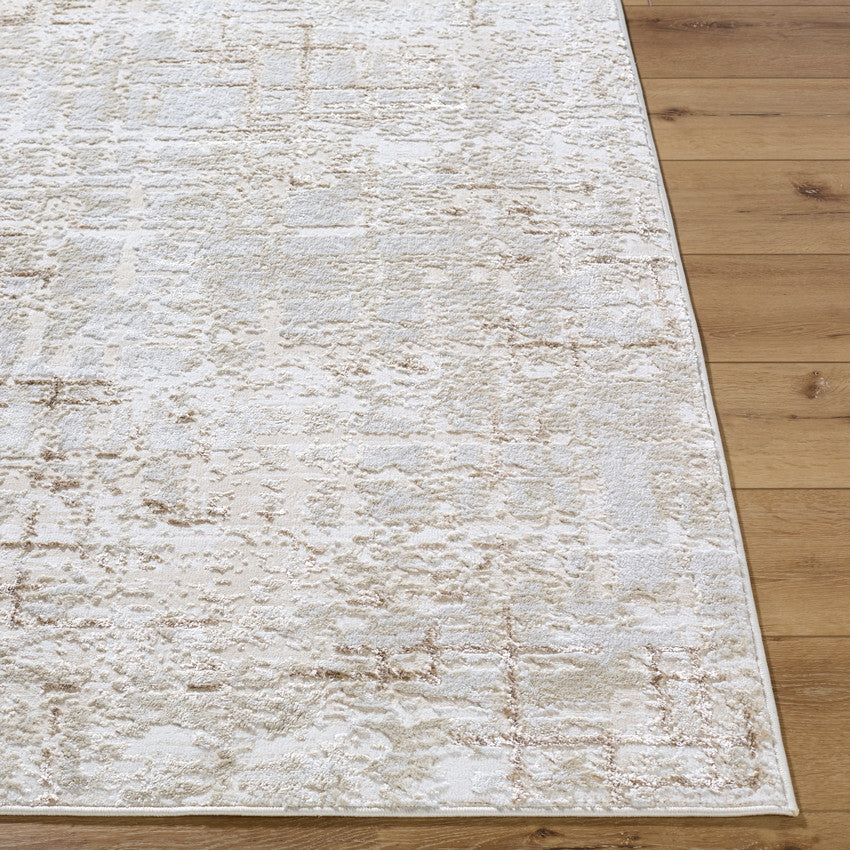 Naji Modern Beige Area Rug