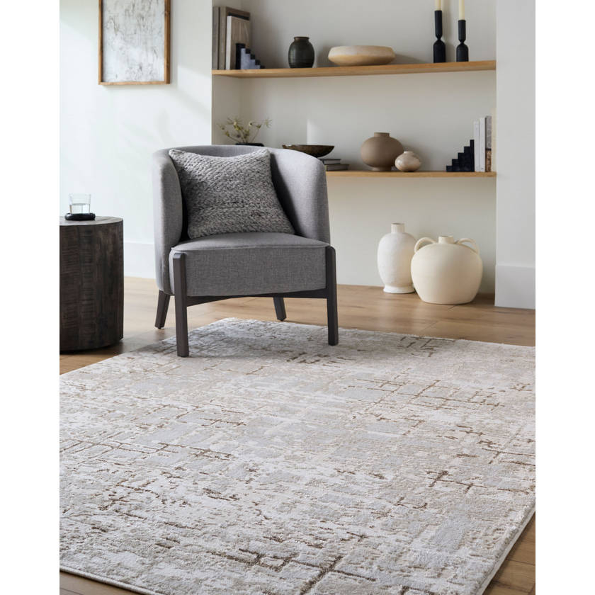 Naji Modern Beige Area Rug