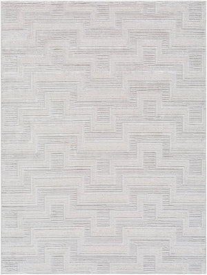 Jenette Modern Light Gray Area Rug