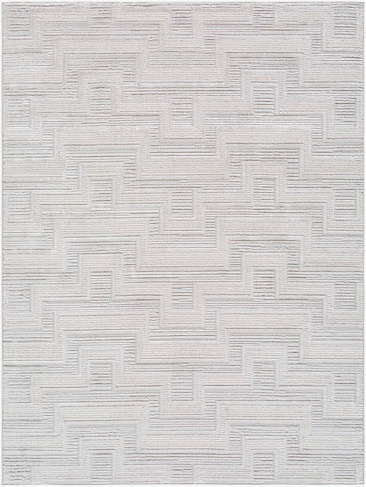 Jenette Modern Light Gray Area Rug