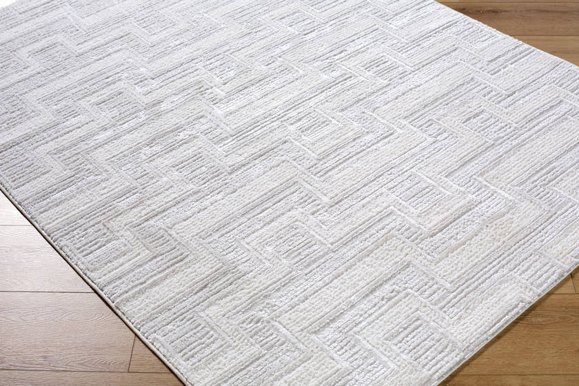 Jenette Modern Light Gray Area Rug