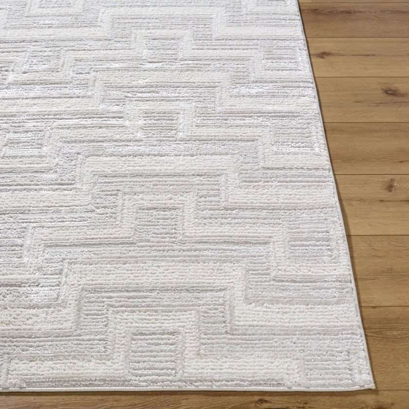 Jenette Modern Light Gray Area Rug