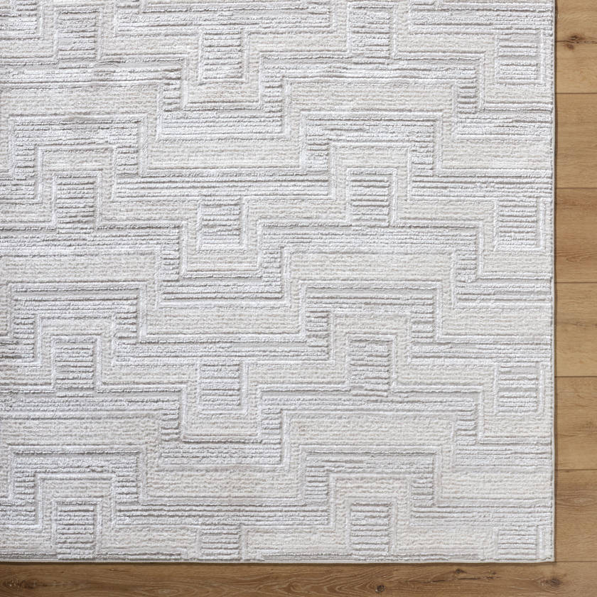 Jenette Modern Light Gray Area Rug