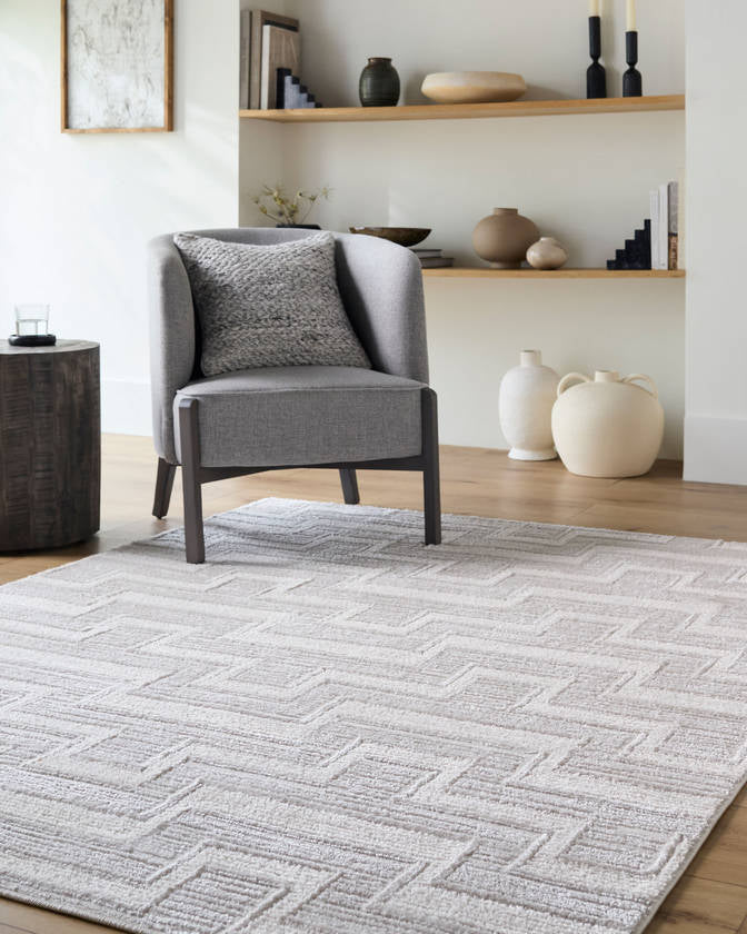 Jenette Modern Light Gray Area Rug